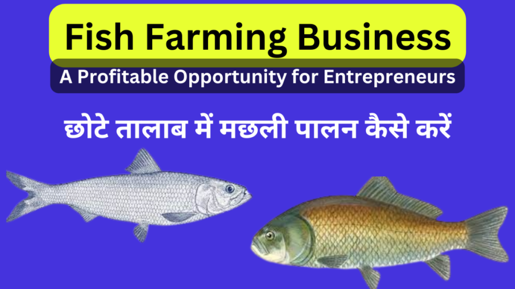 Fish Farming Business A Profitable Opportunity for Entrepreneurs